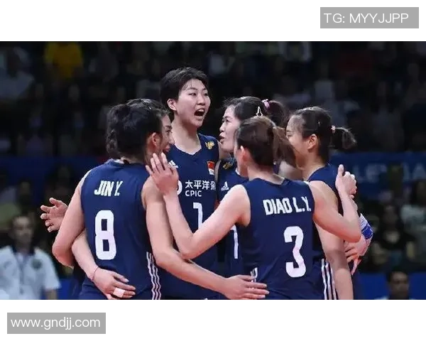 深圳排球队状态转变引发热议球迷期待新篇章的开启与挑战