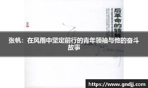 张帆：在风雨中坚定前行的青年领袖与他的奋斗故事
