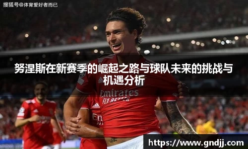 努涅斯在新赛季的崛起之路与球队未来的挑战与机遇分析